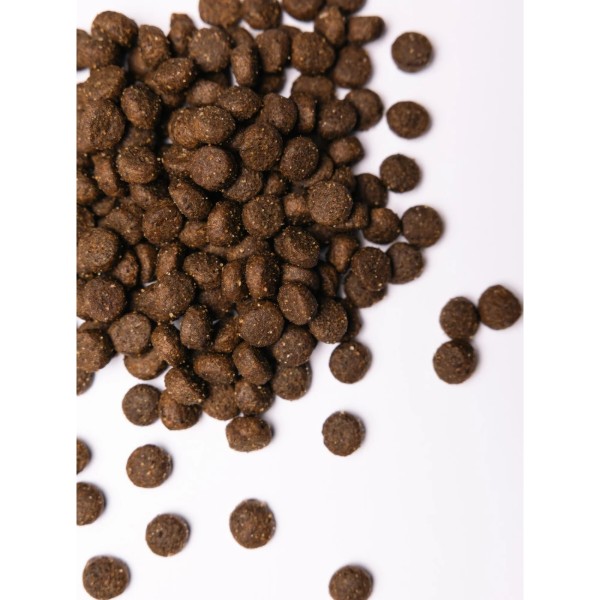 Фото - Сухой корм для собак Savory Adult All Breeds rich in Fresh Duck and Rabbit со свежей уткой и кроликом 3 кг (4820232630174)