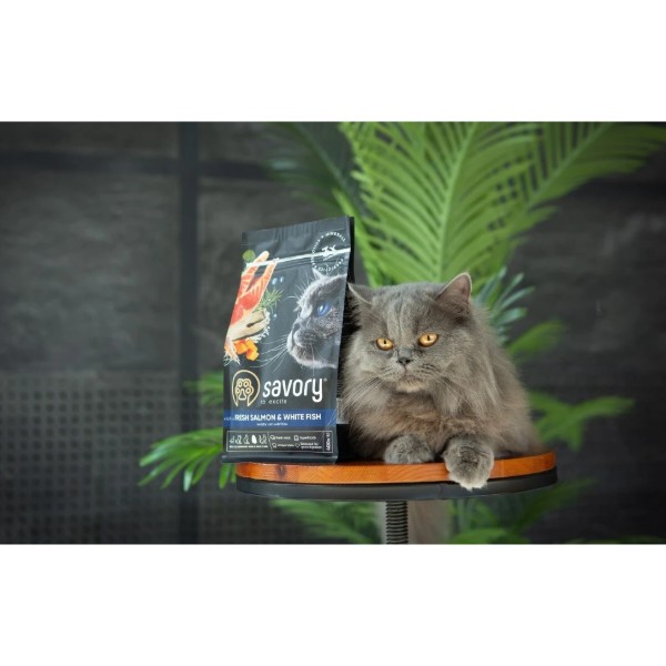Фото - Сухий корм для котів Savory Adult Cat Gourmand Fresh Salmon and White Fish для дорослих зі свіжим лососем і білою рибою 400 г (4820232630013)