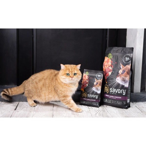 Фото - Сухий корм для котів Savory Adult Cat Steril Fresh Lamb and Chicken для стерилізованих з ягнятиною та куркою 400 г (4820232630105)