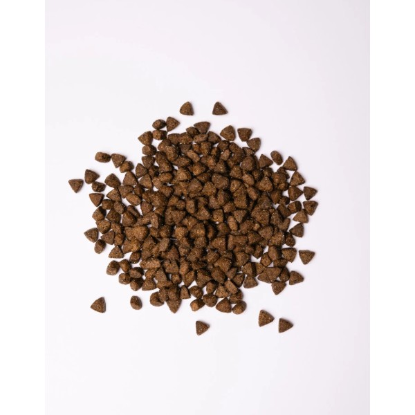 Фото - Сухий корм для собак Savory All Breed Sterilised rich in Fresh Turkey 1 кг (4820232631492)