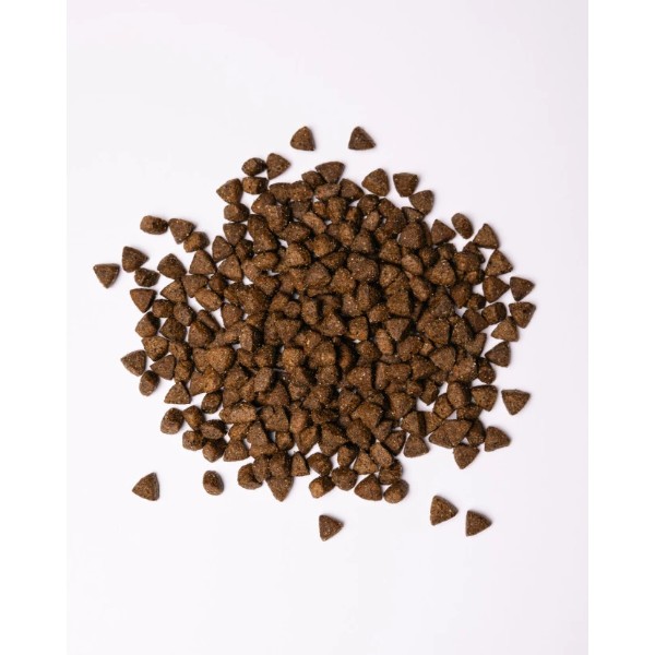 Фото - Сухой корм для собак Savory All Breed Sterilised rich in Fresh Turkey 12 кг (4820232631515)