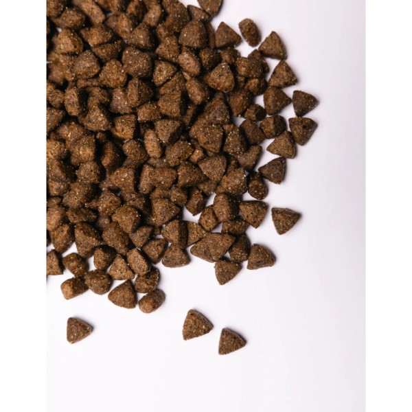 Фото - Сухий корм для собак Savory All Breed Sterilised rich in Fresh Turkey 1 кг (4820232631492)
