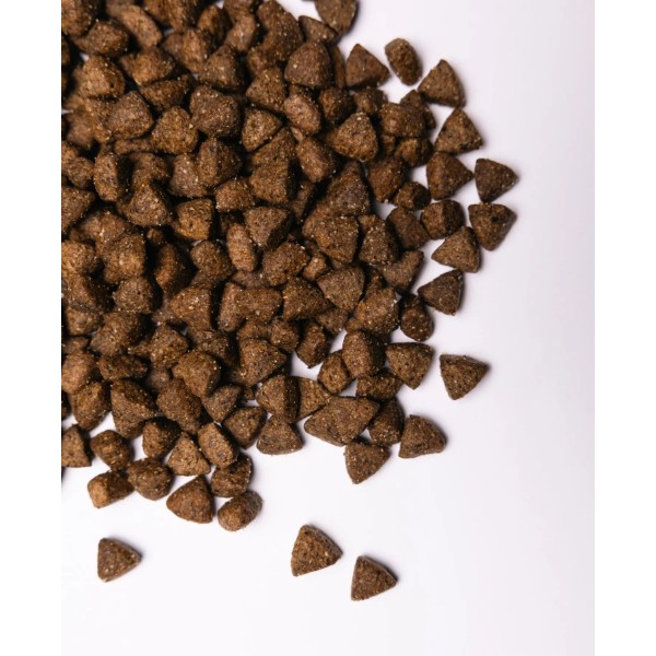 Фото - Сухий корм для собак Savory All Breed Sterilised rich in Fresh Turkey 3 кг (4820232631508)