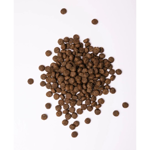 Фото - Сухой корм для собак Savory Medium Breed rich in Fresh Turkey and Lamb средних пород от 10 до 25 кг со свежим ягненком и индейкой 3 (4820232630266)