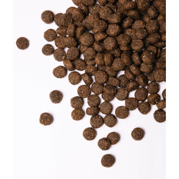 Фото - Сухой корм для собак Savory Medium Breed rich in Fresh Turkey and Lamb средних пород от 10 до 25 кг со свежим ягненком и индейкой 3 (4820232630266)