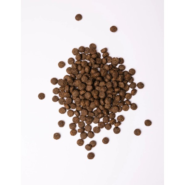 Фото - Сухой корм для собак Savory Medium Breed rich in Fresh Turkey and Lamb средних пород от 10 до 25 кг со свежим ягненком и индейкой 1 (4820232630259)