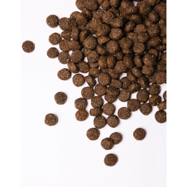 Фото - Сухой корм для собак Savory Medium Breed rich in Fresh Turkey and Lamb средних пород от 10 до 25 кг со свежим ягненком и индейкой 1 (4820232630259)