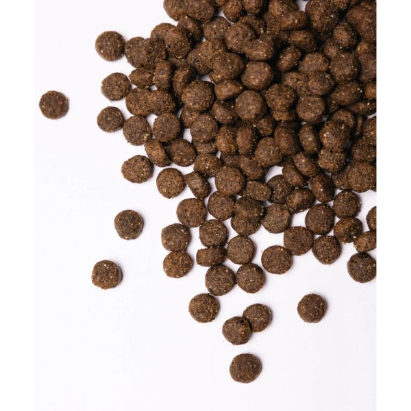Фото - Сухой корм для собак Savory Medium Breed rich in Fresh Turkey and Lamb средних пород от 10 до 25 кг со свежим ягненком и индейкой 1 (4820232630273)