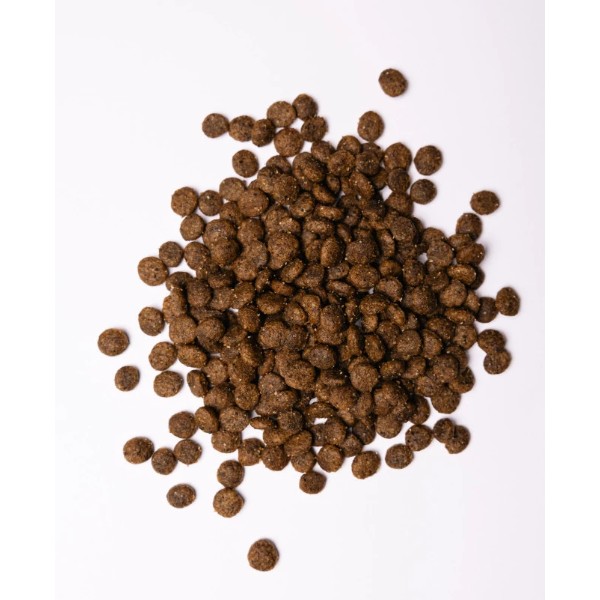 Фото - Сухой корм для собак Savory Small Breed rich in Fresh Turkey and Lamb со свежим ягненком и индейкой 1 кг (4820232630341)