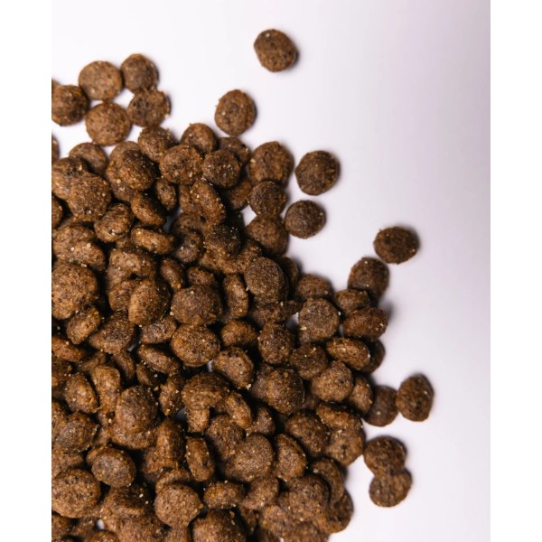 Фото - Сухой корм для собак Savory Small Breed rich in Fresh Turkey and Lamb со свежим ягненком и индейкой 1 кг (4820232630341)