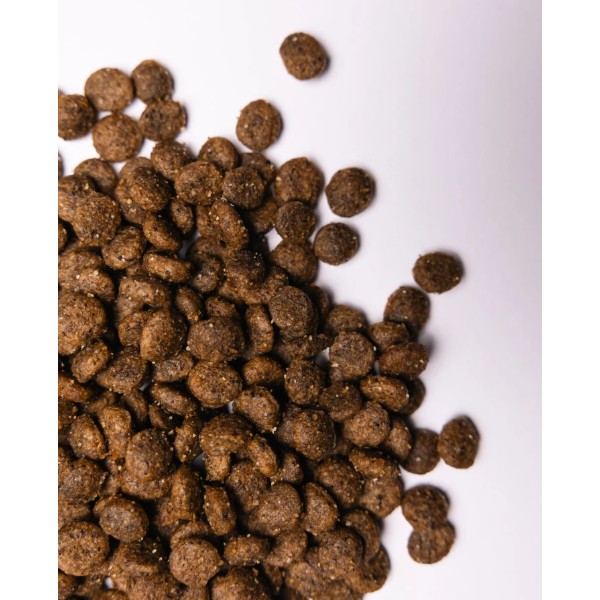 Фото - Сухой корм для собак Savory Small Breed rich in Fresh Turkey and Lamb малых пород до 10 кг со свежим ягненком и индейкой 8 кг (4820232630365)