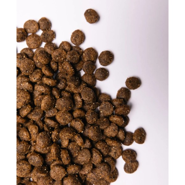 Фото - Сухой корм для собак Savory Small Breed rich in Fresh Turkey and Lamb малых пород до 10 кг со свежим ягненком и индейкой 3 кг (4820232630358)