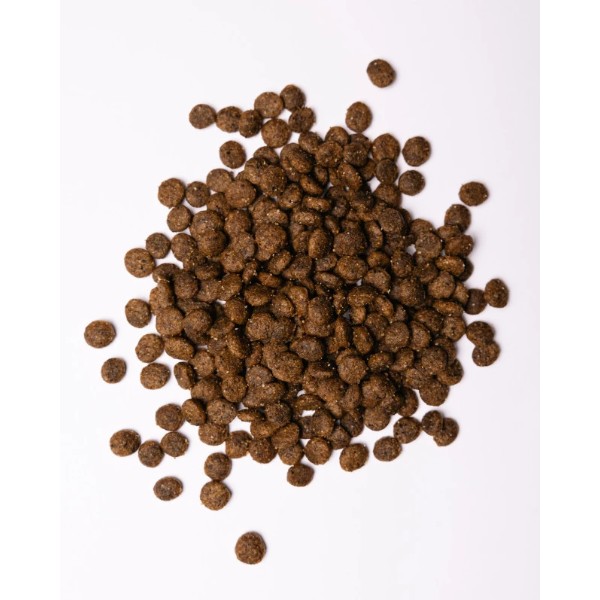Фото - Сухой корм для собак Savory Small Breed rich in Fresh Turkey and Lamb малых пород до 10 кг со свежим ягненком и индейкой 8 кг (4820232630365)