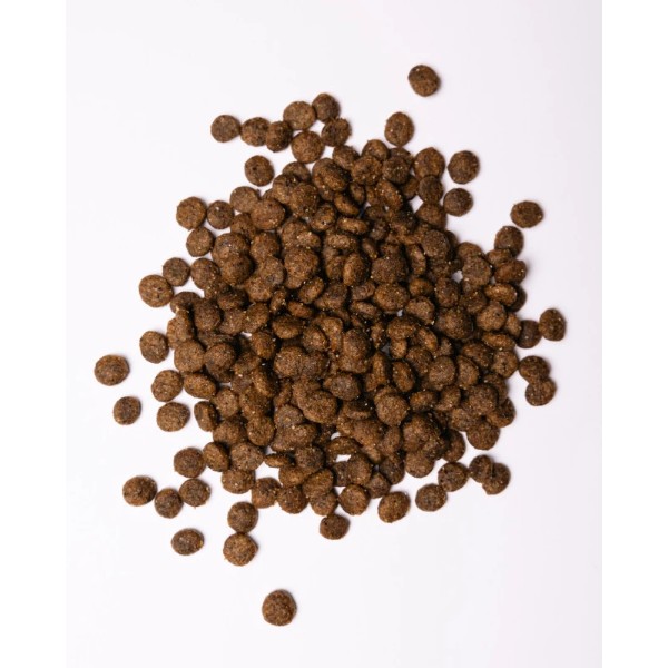 Фото - Сухой корм для собак Savory Small Breed rich in Fresh Turkey and Lamb малых пород до 10 кг со свежим ягненком и индейкой 3 кг (4820232630358)