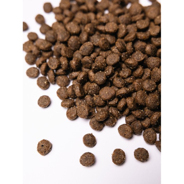 Фото - Сухой корм для собак Savory Small Breeds rich in Fresh Lamb привередливых малых пород до 10 кг со свежим ягненком 8 кг (4820232630334)