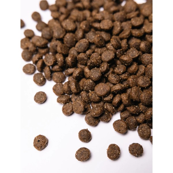 Фото - Сухой корм для собак Savory Small Breeds rich in Fresh Lamb привередливых малых пород до 10 кг со свежим ягненком 3 кг (4820232630327)
