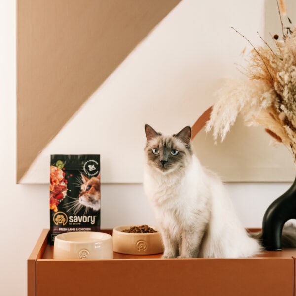 Фото - Сухий корм для котів Savory для стерилізованих 2кг +консерви 3х200г (2700000021224)