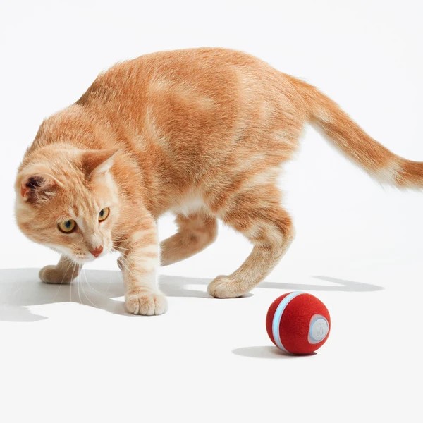 Фото - Интерактивная игрушка для кошек Cheerble Wicked Ball M3 Vintage Red (CWQ02R)