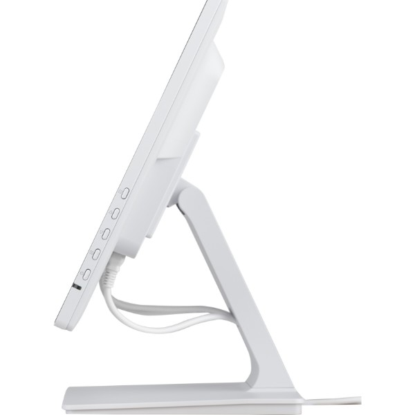 Фото - Монітор IIYAMA ProLite T2452MSC-W2AG