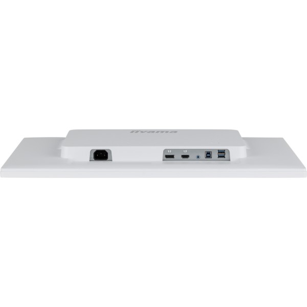 Фото - Монітор IIYAMA ProLite T2452MSC-W2AG