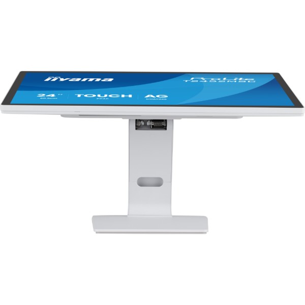 Фото - Монітор IIYAMA ProLite T2452MSC-W2AG