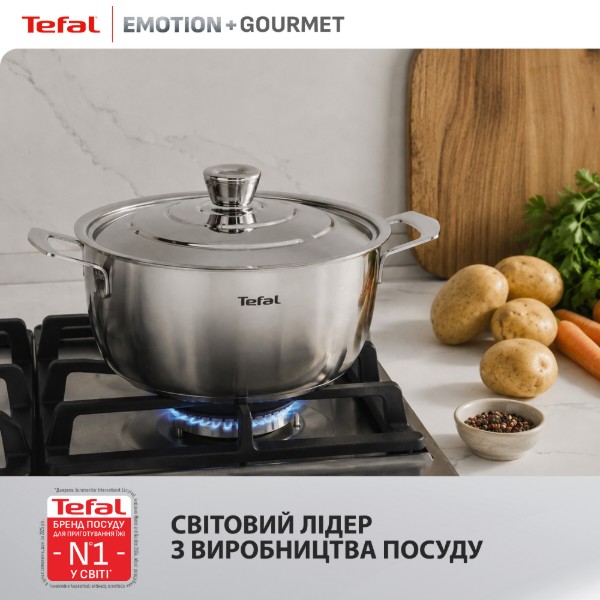 Фото - Каструля Tefal E3394655 Emotion+ Gourmet 24 см (4,4 л) з кр.