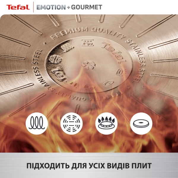 Фото - Каструля Tefal E3394655 Emotion+ Gourmet 24 см (4,4 л) з кр.