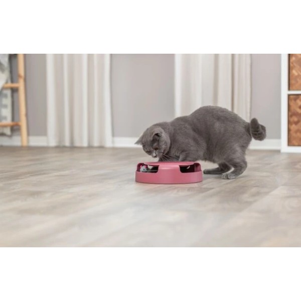Фото - Трек для котів Trixie Catch The Mouse з мишкою 25х6 см (4011905414119)
