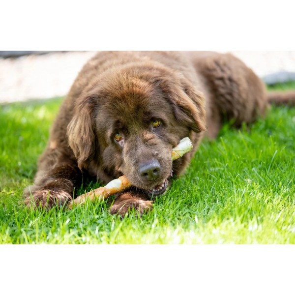 Фото - Ласощі для собак Trixie Denta Fun Chewing Rolls для чищення зубів з куркою 170 г (4011905313290)