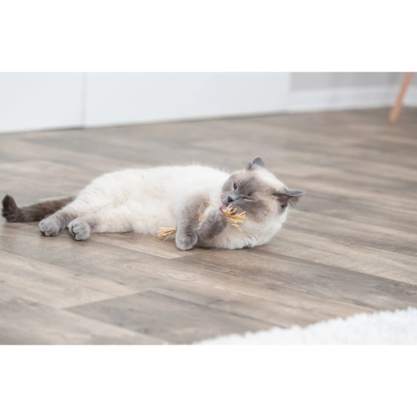 Фото - Паличка мататабі Trixie Палиця з мататабі з китицями 24 см (4011905424354)