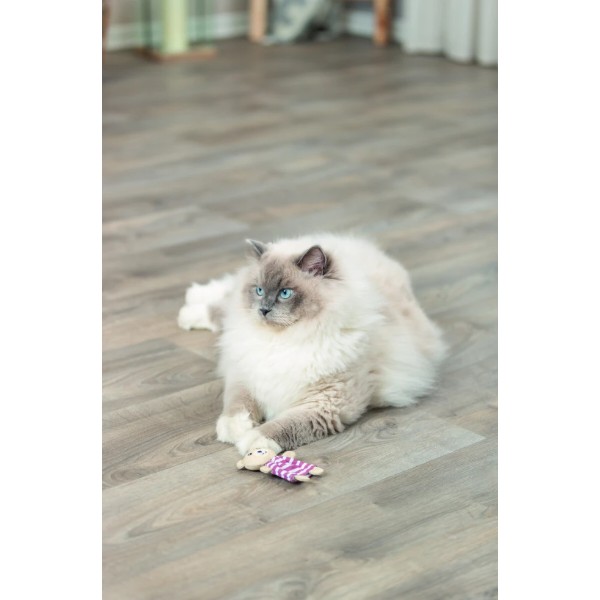 Фото - М'яка іграшка для котів Trixie Ведмідь з котячою м ятою 12 см (4011905456652)