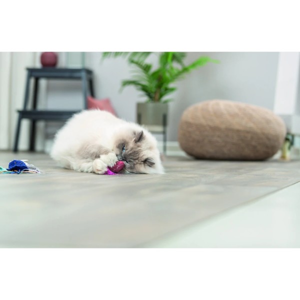 Фото - М'яка іграшка для котів Trixie Морські звірі з котячою м'ятою 5–8 см в асортименті (4011905455532)