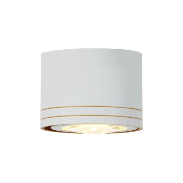 Фото - Светодиодный светильник VALESO INN-23694WH White
