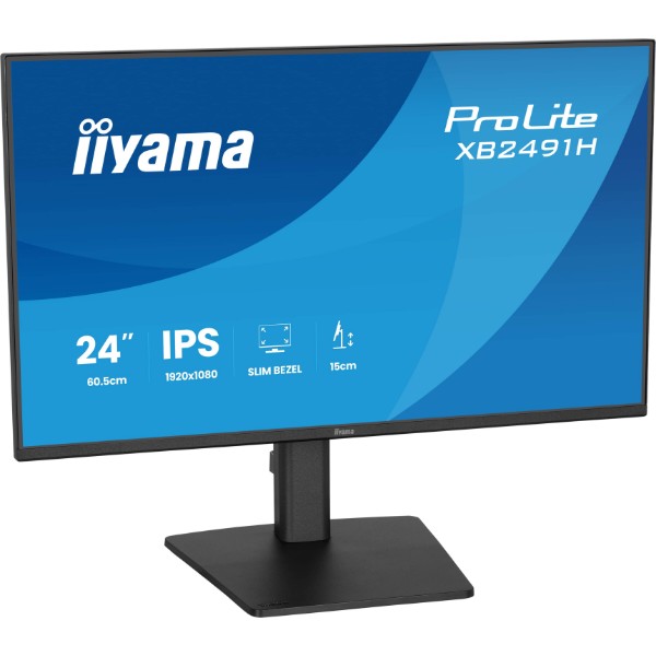 Фото - Монитор IIYAMA ProLite XB2491H-B1
