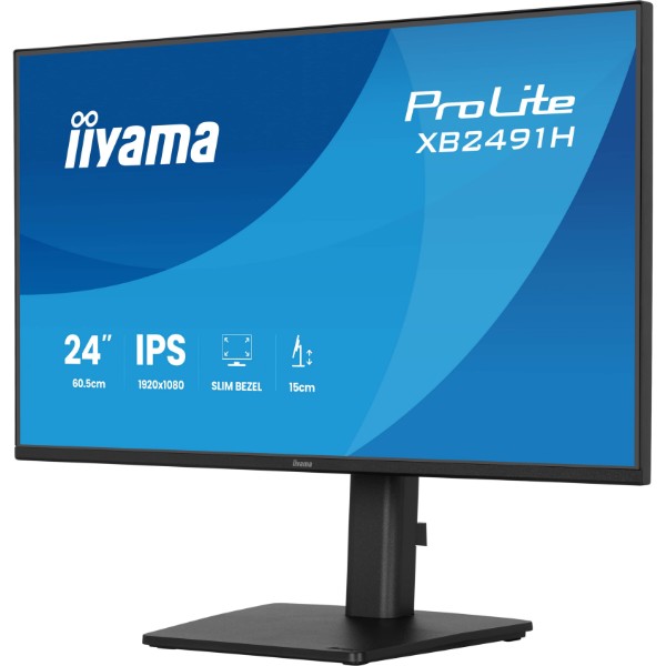 Фото - Монитор IIYAMA ProLite XB2491H-B1