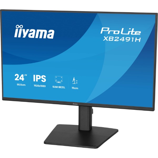 Фото - Монитор IIYAMA ProLite XB2491H-B1