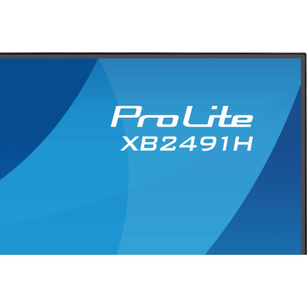 Фото - Монитор IIYAMA ProLite XB2491H-B1