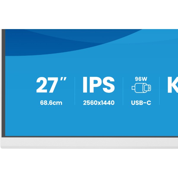 Фото - Монитор IIYAMA ProLite XB2797QSNP-W1