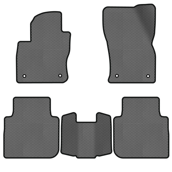 Фото - EVA килимки в салон авто EVAtech для Tiguan Allspace 5 seats Volkswagen 2016-2020 1 покоління SUV USA (VW13965CP5AV4RGB)