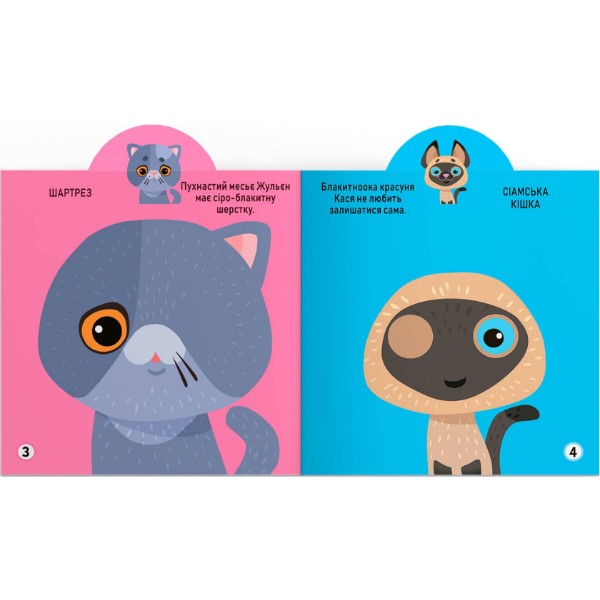 Фото -  Crystal Book Игрушка-развивайка. Котики. 69 больших наклейок (9789669875587)