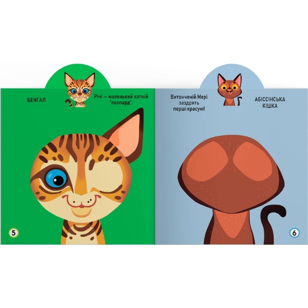 Фото -  Crystal Book Игрушка-развивайка. Котики. 69 больших наклейок (9789669875587)