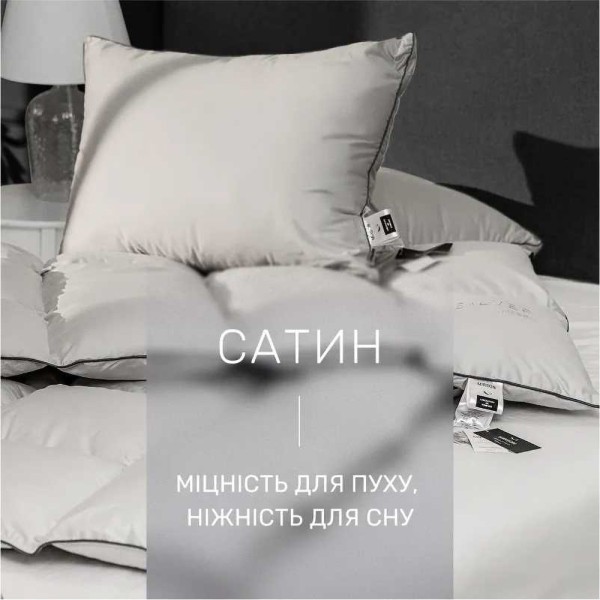 Фото - Одеяло зимнее двуспальное MirSon 100% пух Сатин-Премиум пуходержащий № 067 "Silver Cloud" 172х205 (2200009348655)