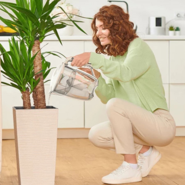 Фото - Фільтр-глечик Ecosoft Maxima перлинний 5 л