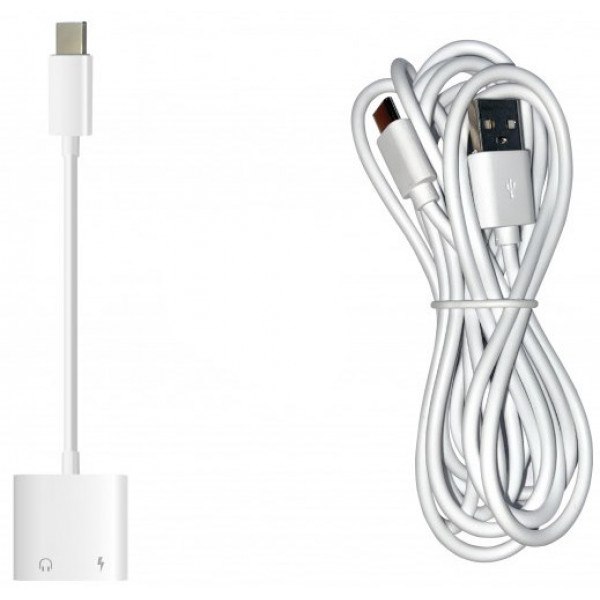 Фото - Зарядний пристрій для екшн-камери AIRON USB Type-C 3m + Type-C for Procam 7/8 (69477915500108)