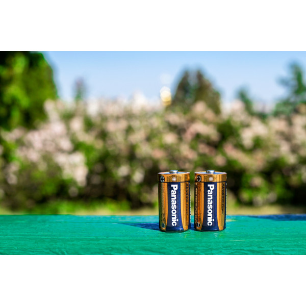 Фото - Уцінка - Батарейка тип D (LR-20) Panasonic ALKALINE POWER D BLI 2 (LR20REB/2BP) #