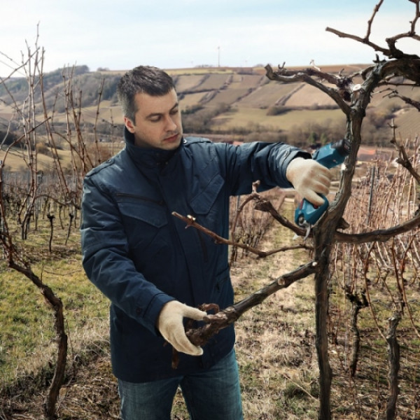 Фото - Секатор акумуляторний Bosch Pro Pruner (0.601.9K1.020)