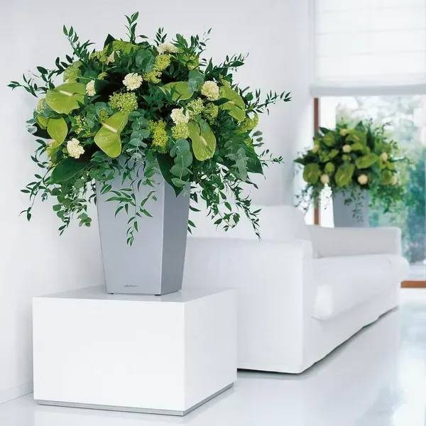 Фото - Вазон Lechuza 40/75 Кубіко Антрацит (18194)