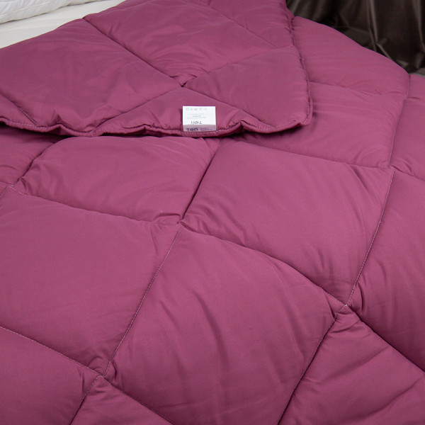 Фото - Ковдра зимова двоспальна євро ТЕП Alaska 200х220 см Бордовый (1-00154_27801)