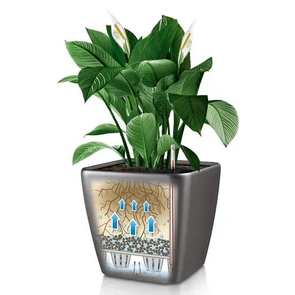 Фото - Вазон Lechuza Quadro Premium LS 50 Антрацит 16283