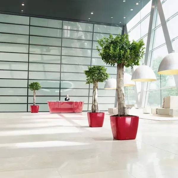 Фото - Вазон Lechuza Quadro Premium LS 50 Антрацит 16283